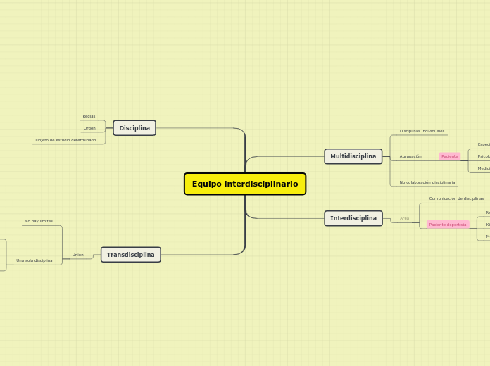 Equipo interdisciplinario