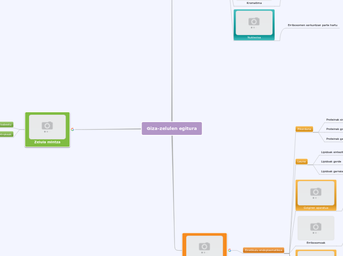 Giza-zelulen egitura - Mind Map