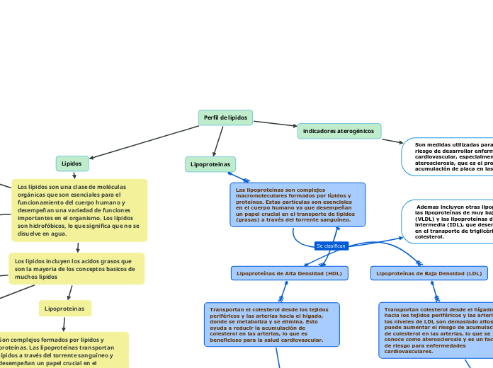 Perfil de lipidos