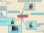 Sample Mind Map