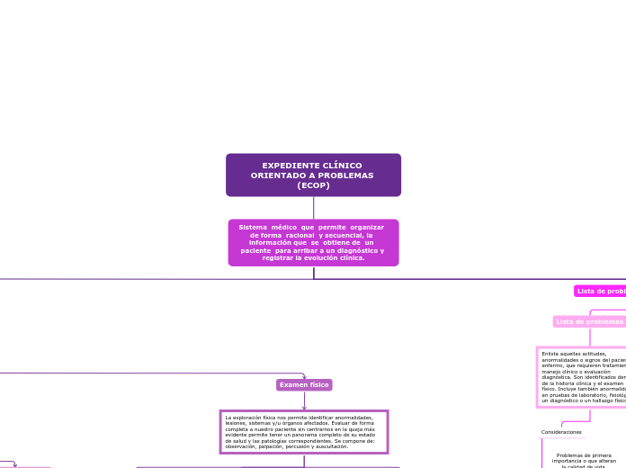EXPEDIENTE CLÍNICO ORIENTADO A PROBLEMAS (ECOP)
