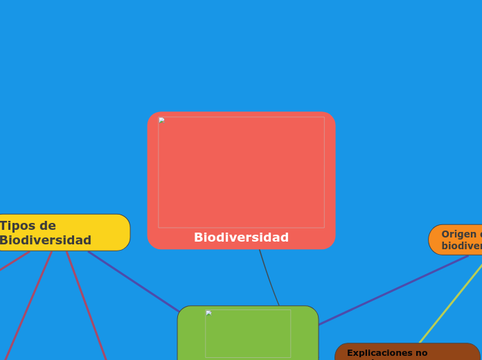 Biodiversidad - Mapa Mental