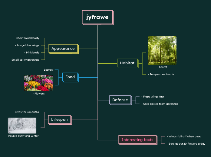 jyfrawe - Mind Map