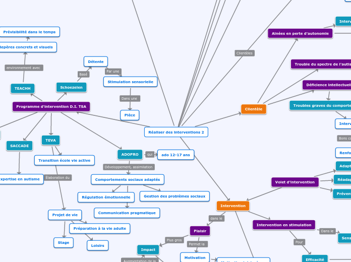 Réaliser des interventions 2 - Carte Mentale