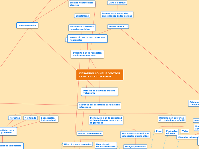 DESARROLLO NEUROMOTOR
LENTO PARA LA EDA...- Mapa Mental