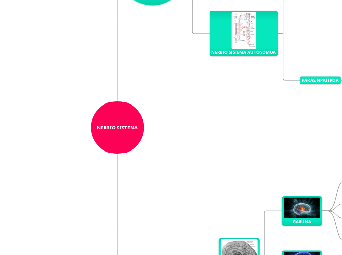 NERBIO SISTEMA - Mind Map