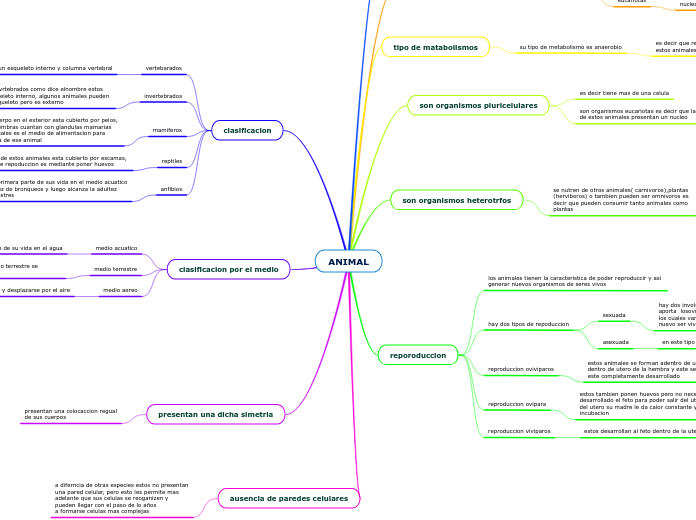 ANIMAL - Mapa Mental