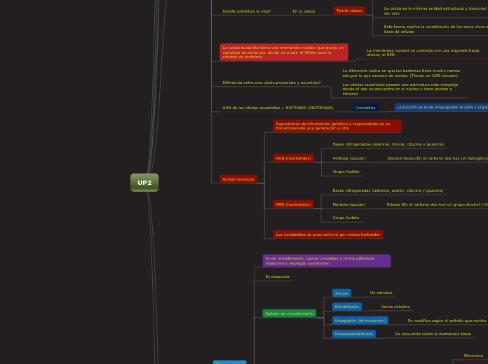 UP2 - Mapa Mental