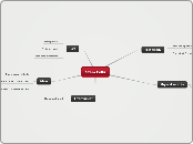 Stem Cells - Mind Map