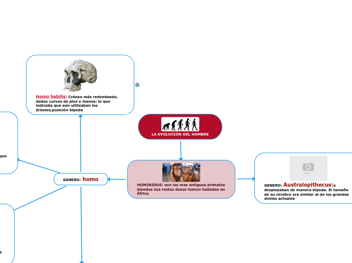LA EVOLUCIÓN DEL HOMBRE - Mapa Mental