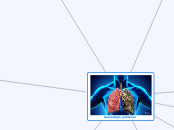 Semiología pulmonar