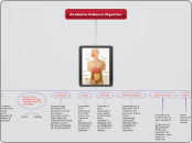 Anatomía Sistema Digestivo - Mapa Mental