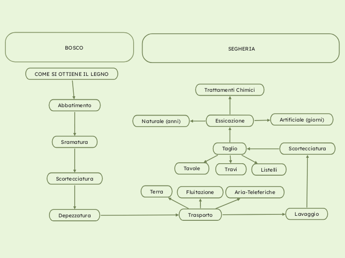 COME SI OTTIENE IL LEGNO - Mappa Mentale