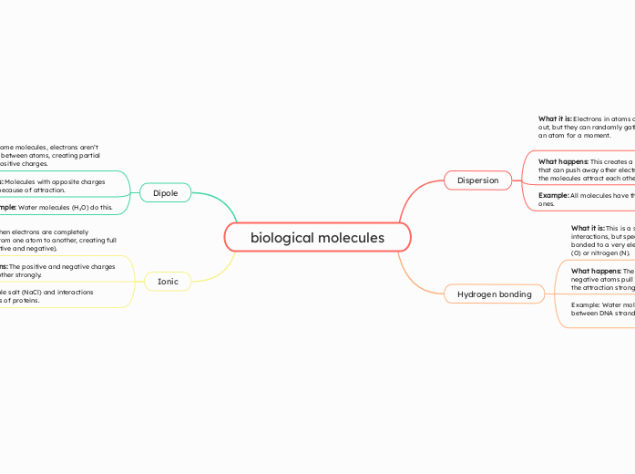 biological molecules - Mind Map