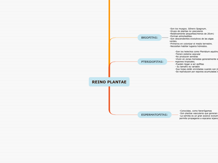 REINO PLANTAE - Mapa Mental
