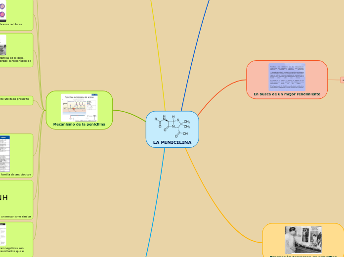 LA PENICILINA - Mapa Mental