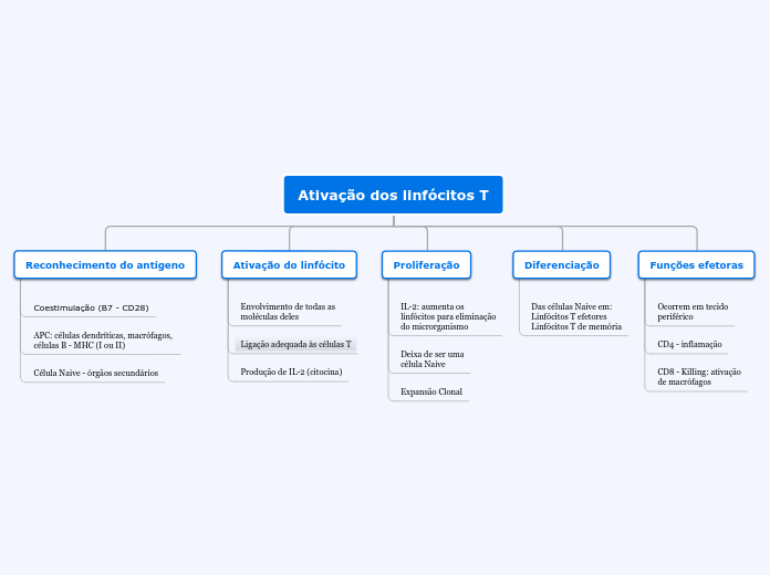 Organigrama em árvore