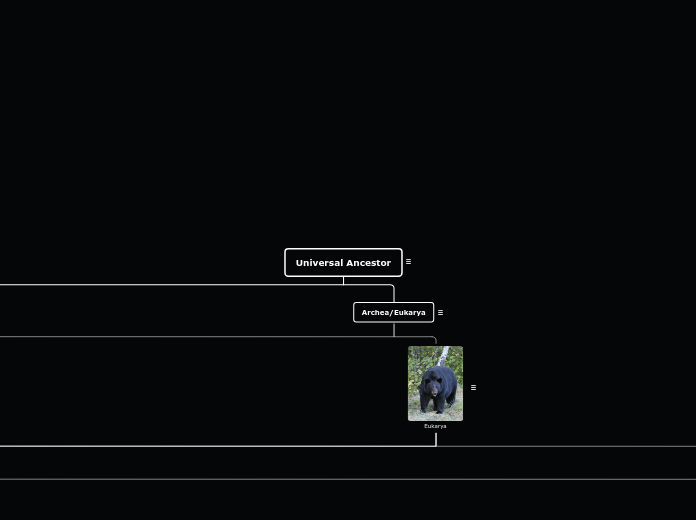 Universal Ancestor - Mind Map