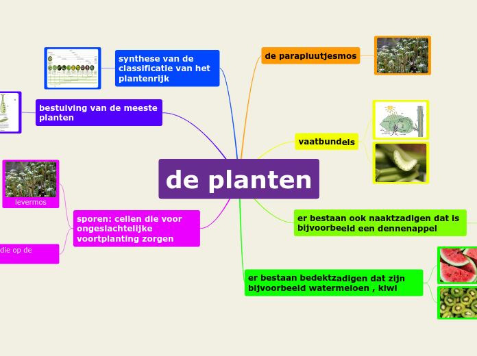 de planten - Mindmap