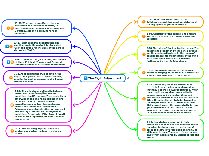 The Right Adjustment - Mind Map