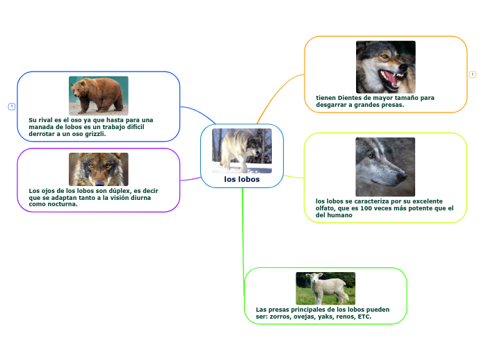 los lobos - Mapa Mental