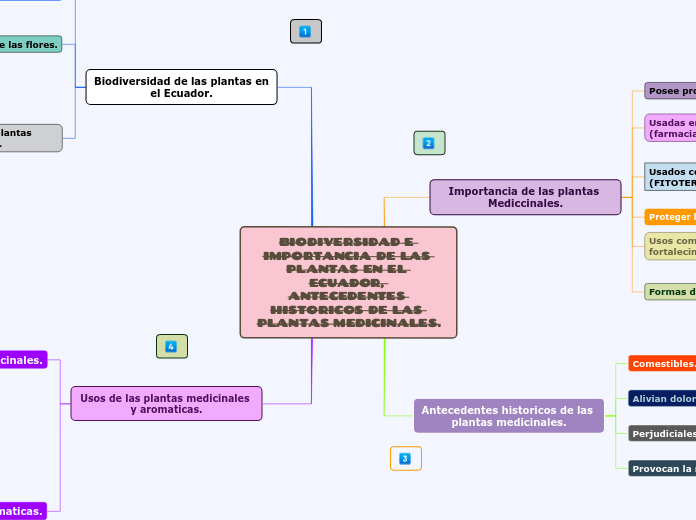 BIODIVERSIDAD E IMPORTANCIA DE LAS PLAN...- Mapa Mental