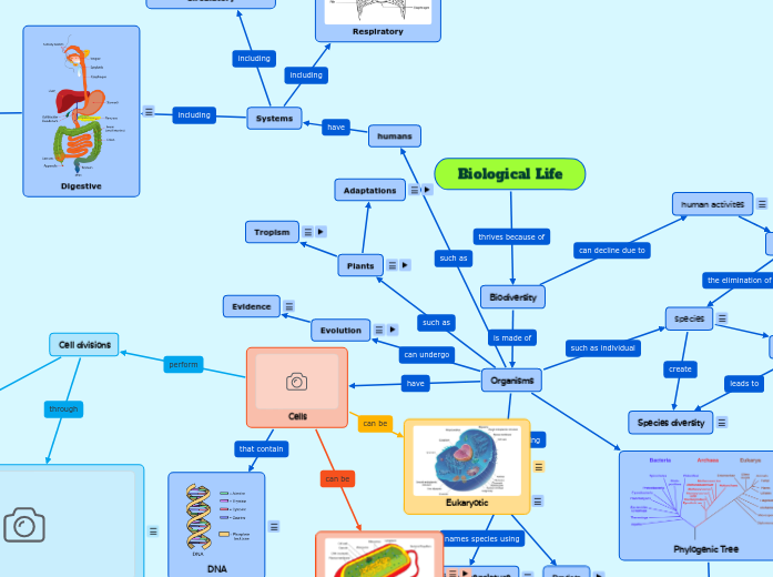 My Biological Life Map My Biological Life Map