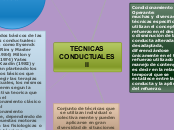 TECNICAS CONDUCTUALES II