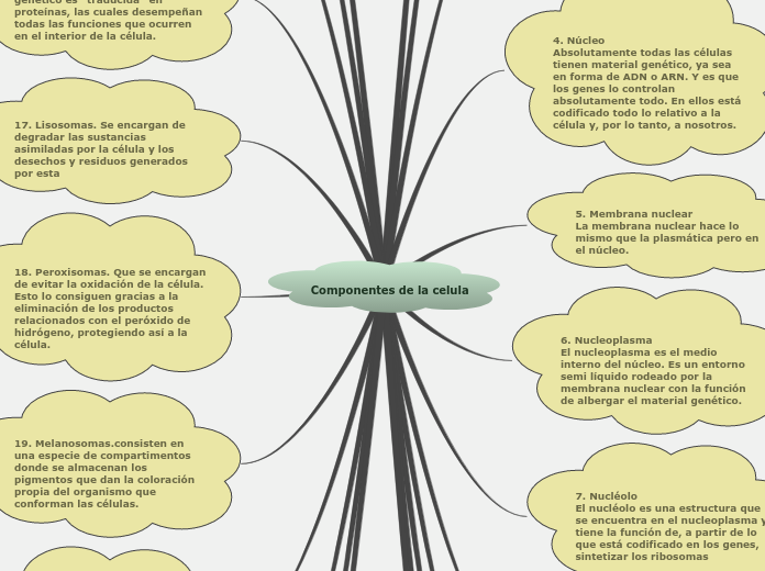 Componentes de la celula - Mapa Mental