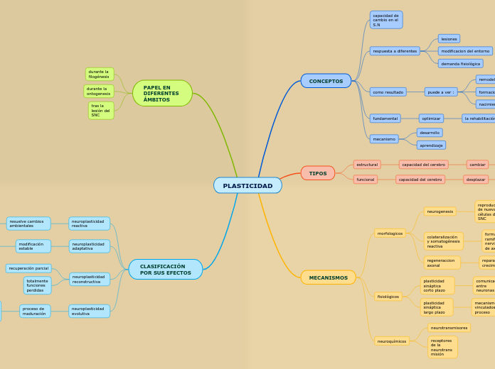 PLASTICIDAD - Mapa Mental