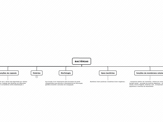 BACTÉRIAS - Mapa Mental