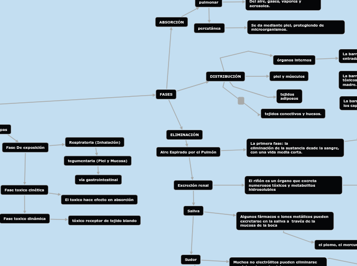 TOXICO CINÈTICA TOXICO CINÈTICA