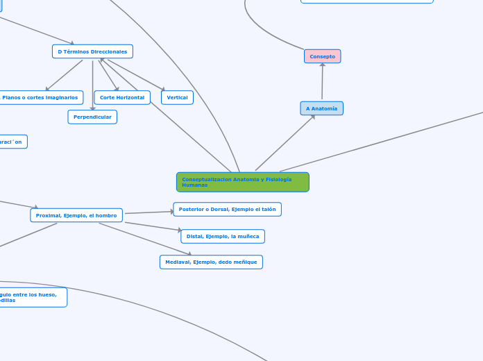 Conseptualizacion Anatomia y Fisiología Humanas