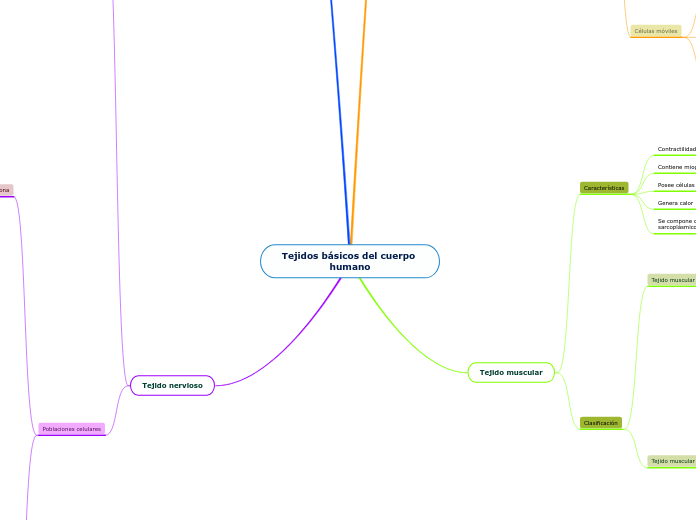 Tejidos básicos del cuerpo humano - Mapa Mental