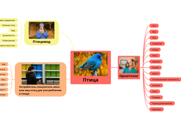 Птица - Мыслительная карта