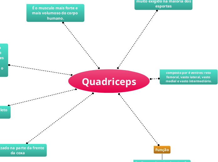 Quadriceps