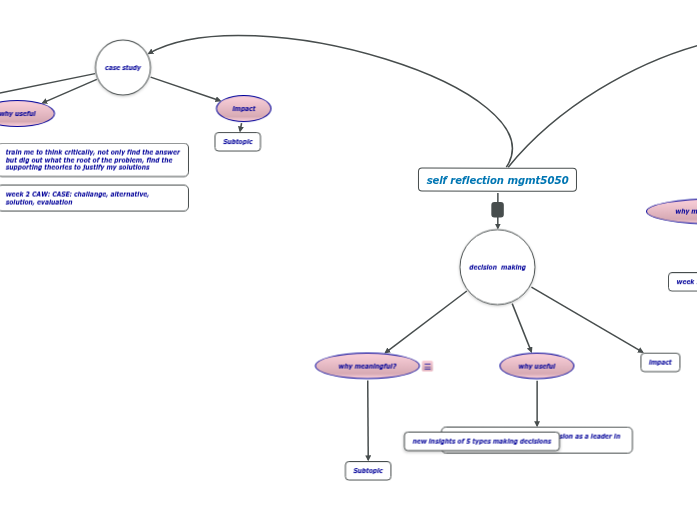 self reflection mgmt5050 self reflection mgmt5050