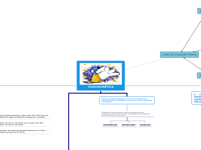 TOXICOCINÉTICA - Mapa Mental