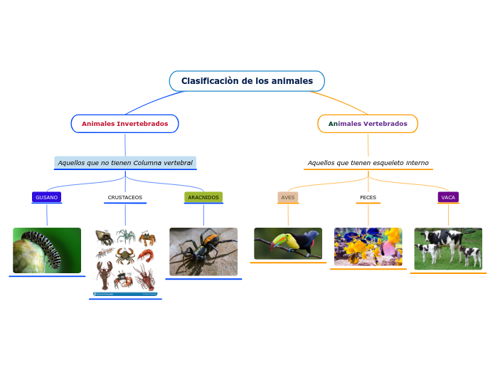 Clasificaciòn de los animales - Mapa Mental