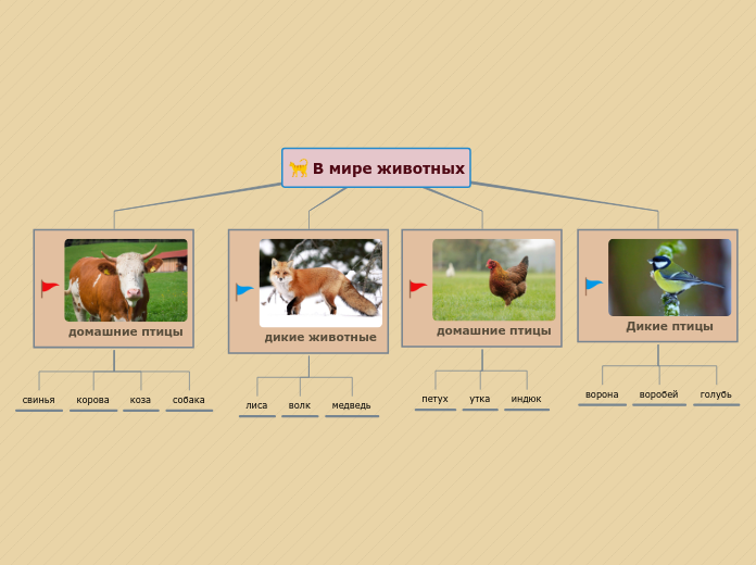 В мире животных - Мыслительная карта