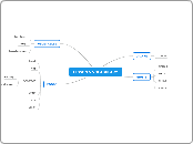 LESSON 5 VOCABULARY - Mind Map