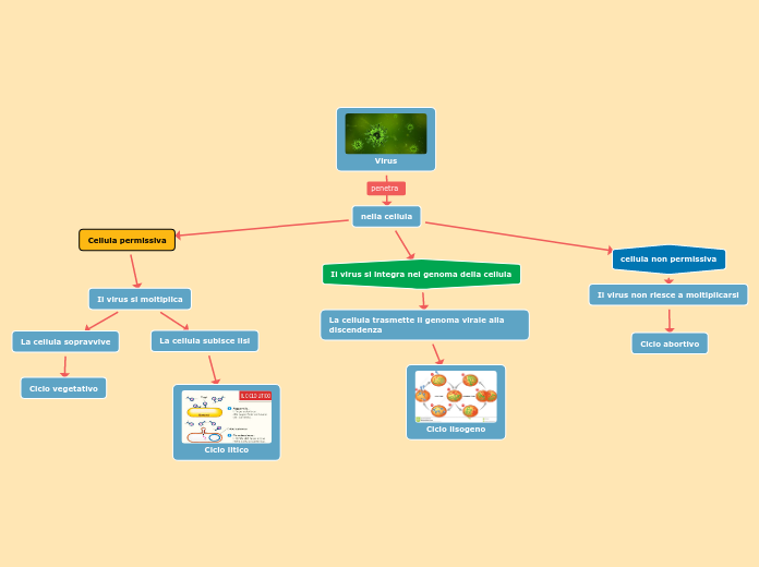 Virus - Mappa Mentale