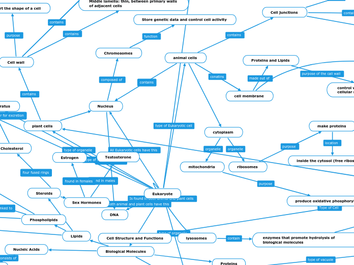 Cell Structure and Functions - Mind Map