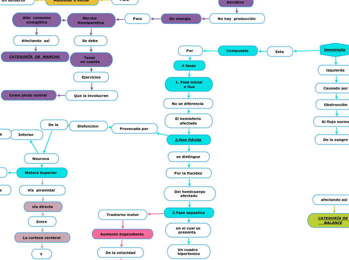 Varón de 65 años de edad Quién sufre un...- Mapa Mental