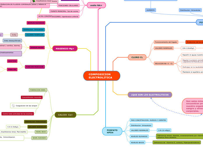 COMPOSICION                  ELECTROLIT...- Mapa Mental