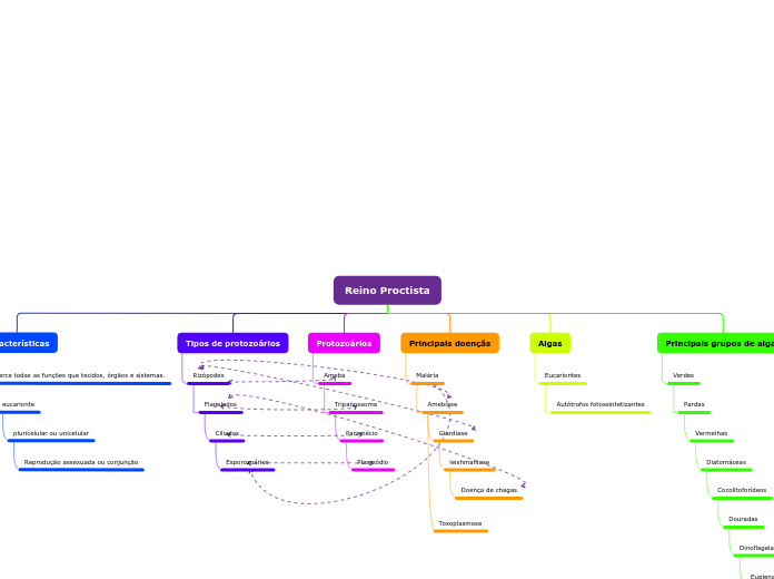 Reino Proctista - Mapa Mental