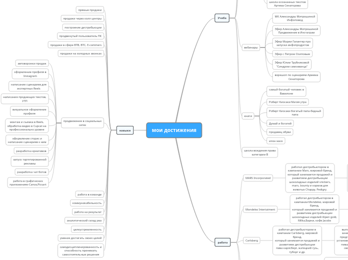 мои достижения - Мыслительная карта