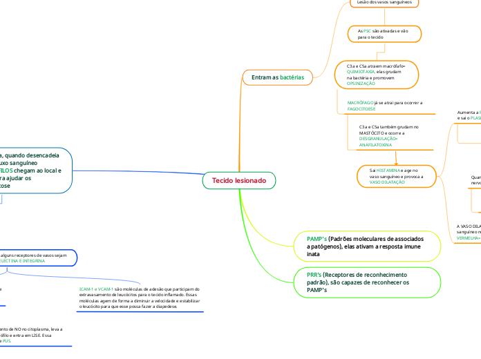 Tecido lesionado - Mapa Mental