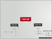 Food web - Mind Map