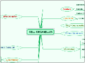 CELL ORGANELLES - Mind Map